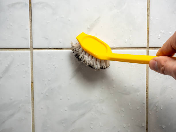 Best Black Mold Removal  in Nome, AK