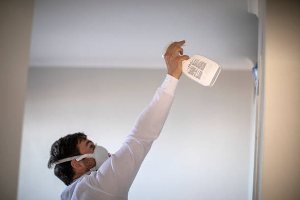 Best Mold Cleaning Services  in Nome, AK