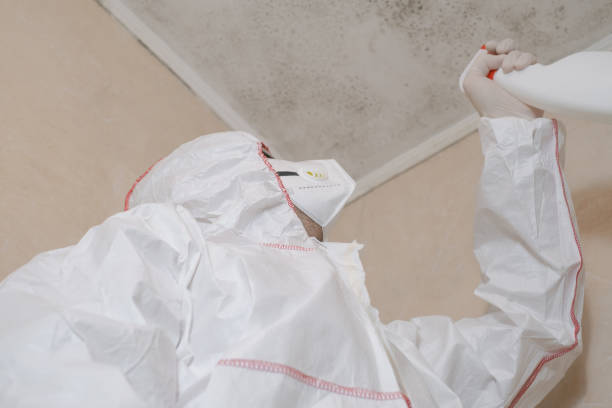 Best Home Mold Removal  in Nome, AK